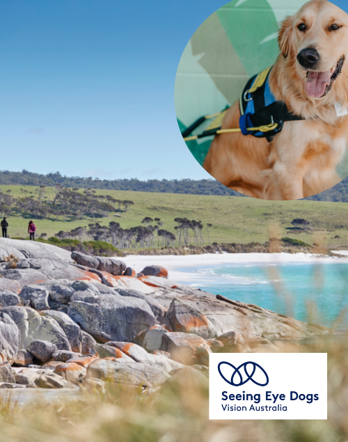 Seeing Eye Dogs: Bay of Fires Adventure