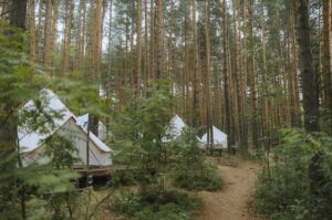 Glamping tents in the forests