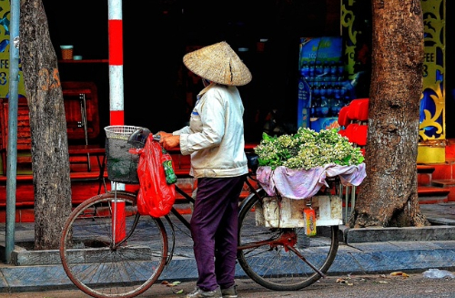 why-northern-vietnam-should-be-on-your-travel-radar